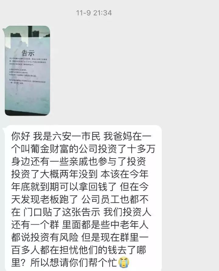 葡金财富最新动态全面解读