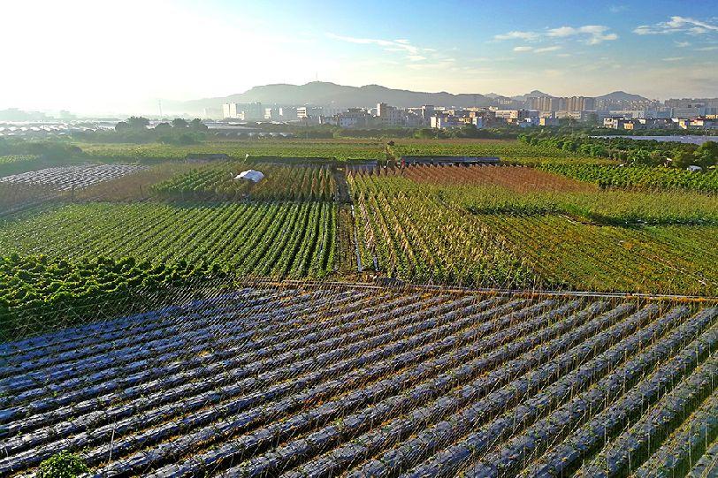 花都空港区域最新规划图，塑造未来城市新面貌蓝图