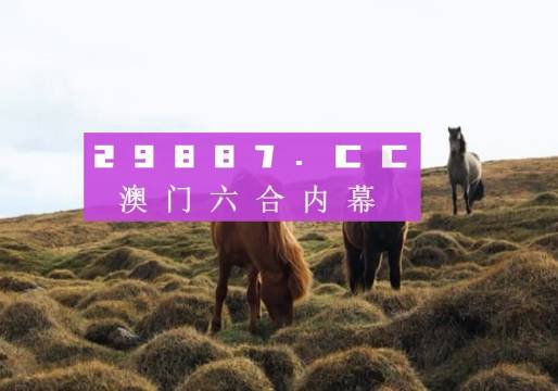 澳门马今晚开奖记录——探索彩票背后的故事