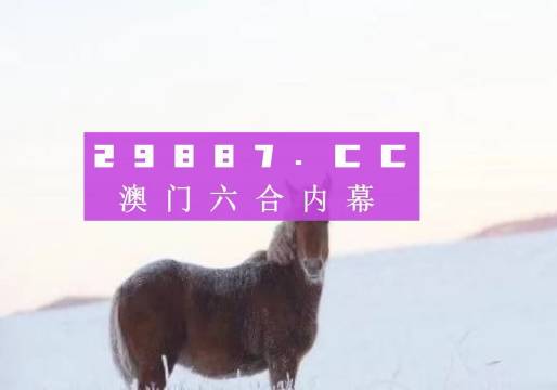 澳门一肖一码一一特一中厂，探索背后的神秘与魅力