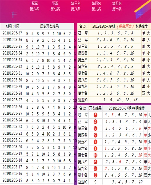 澳门王中王100的资料论坛，揭示背后的风险与挑战