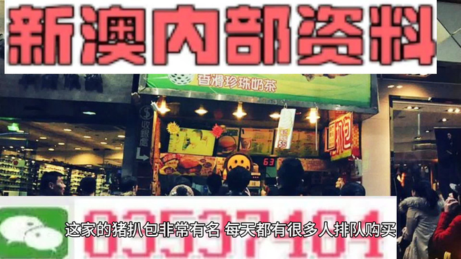 新奥天天精准资料大全，探索与解析