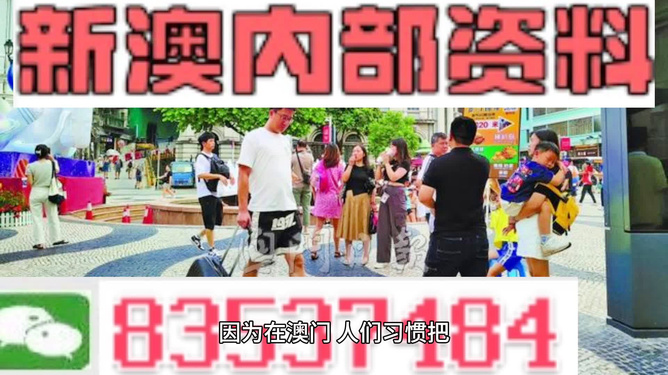 警惕网络陷阱，远离非法赌博——关于新澳门资料大全正版资料2024年免费下载及家野中特的警示