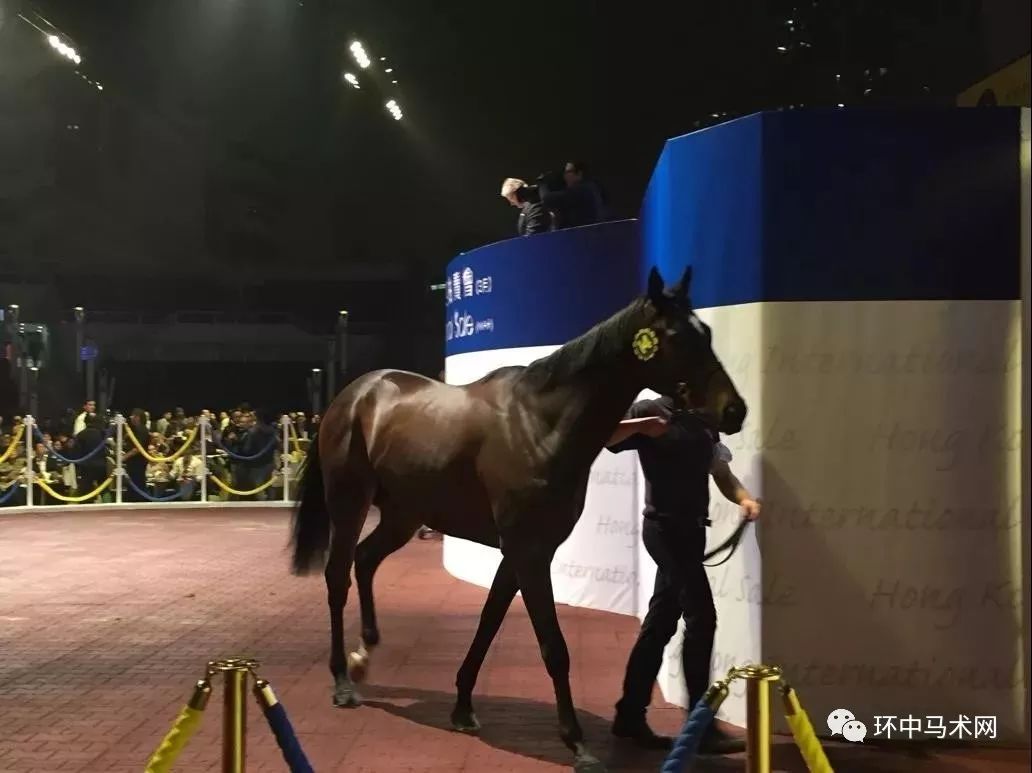 香港马资料更新最快的平台及其优势分析