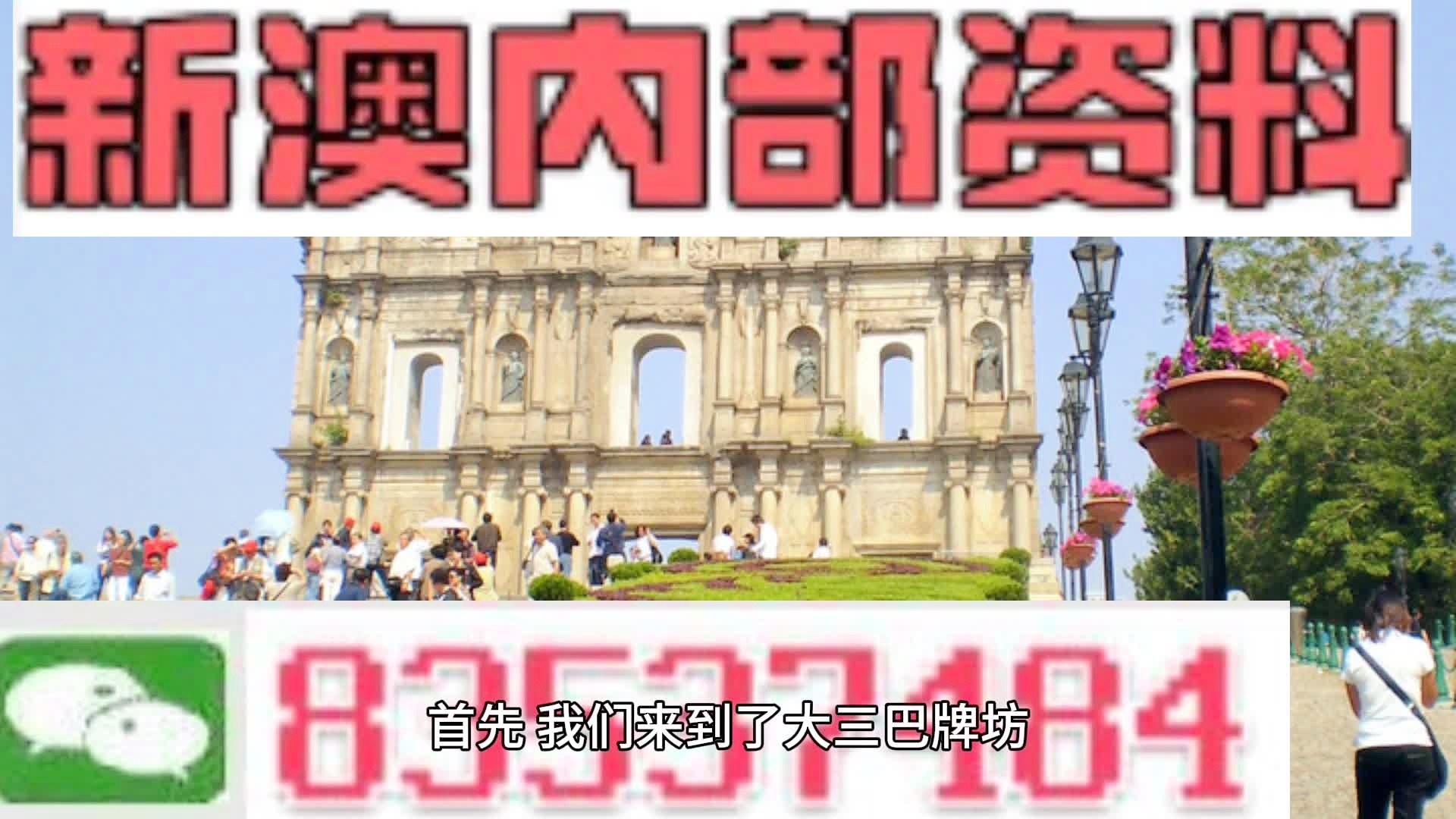 揭秘2024新澳开奖记录，数据与策略的双重解读