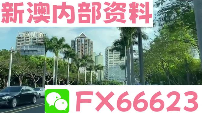 新澳精准资料免费提供，探索第221期的价值与奥秘