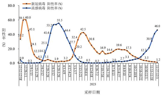 关于2024年11月份新病毒的研究与探讨