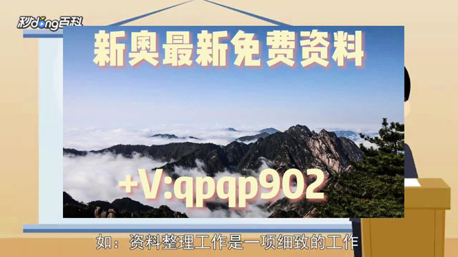 免费提供的精准资料，探索新奥集团2004年的深度洞察