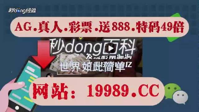 澳门今晚开码料，探索未来与预测趋势（2024年视角）