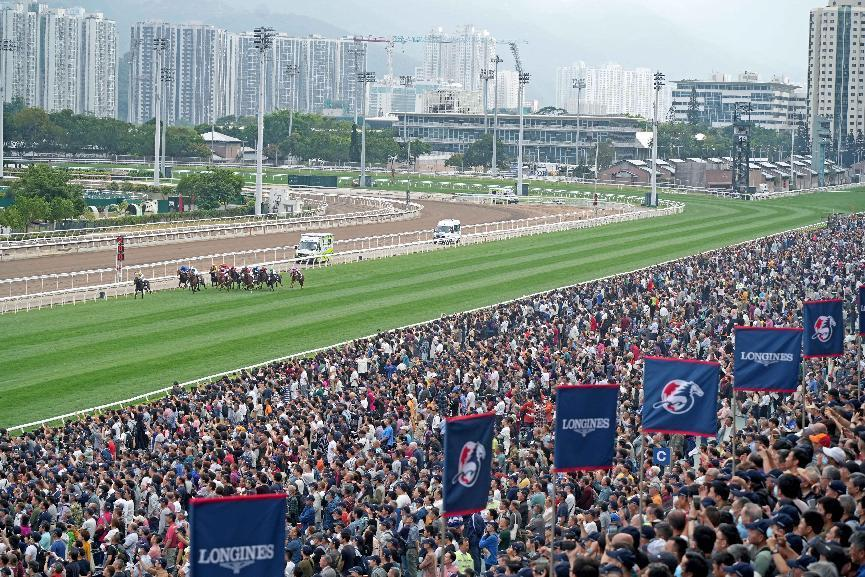 香港今晚的马票结果预测与赛马文化深度解析