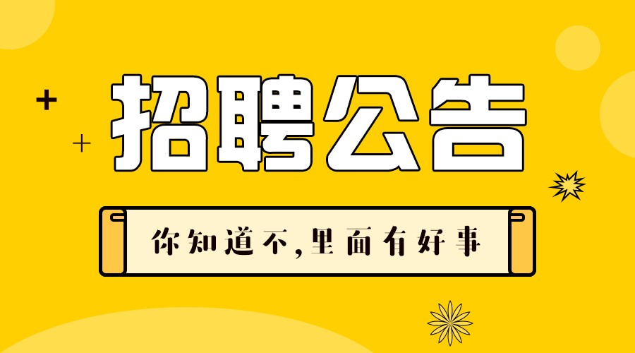 沙河招聘网最新招聘动态深度解析