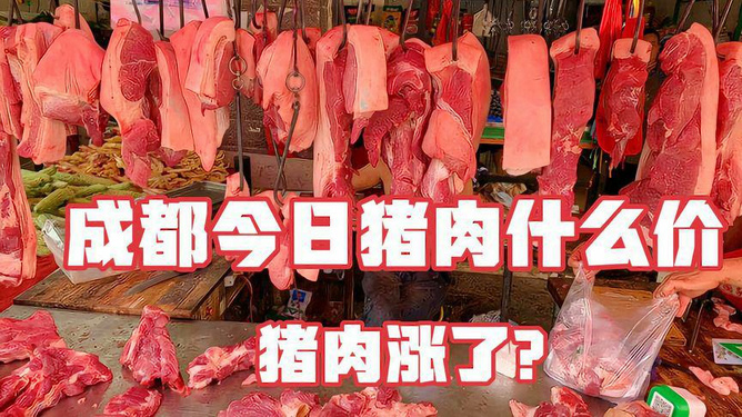 今日猪肉市场最新价格分析与展望