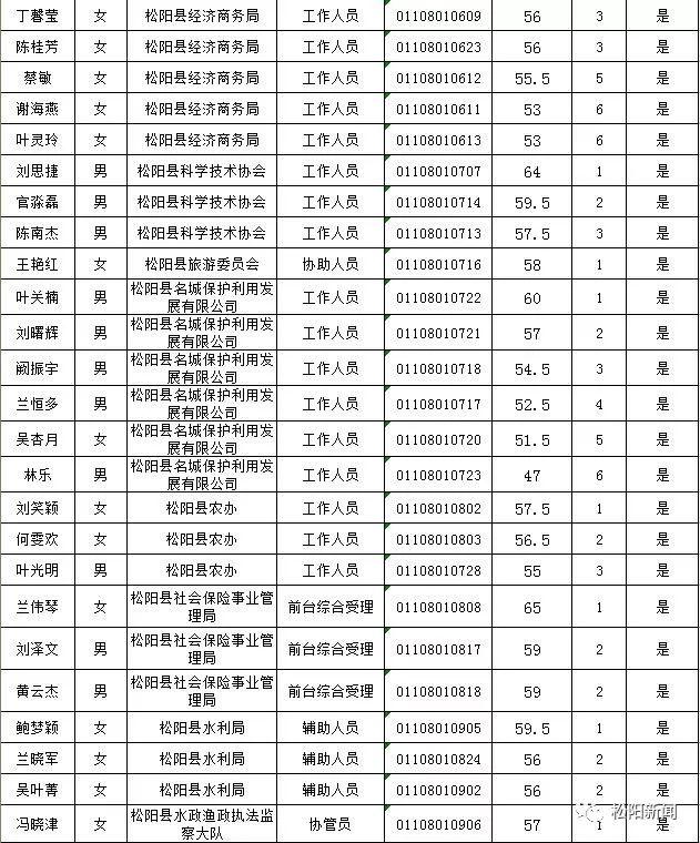 松阳最新招聘信息概览