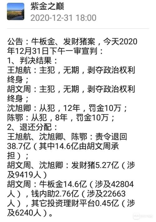 牛板金最新消息全面解析